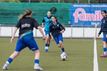 Bild 184 - wBJ Hamburger SV - FC Suederelbe : Ergebnis: 9:0